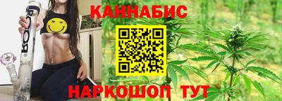 гашик Новозыбков