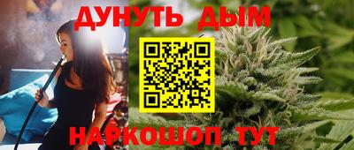 гашик Новозыбков