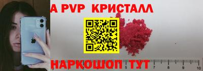 гашик Новозыбков
