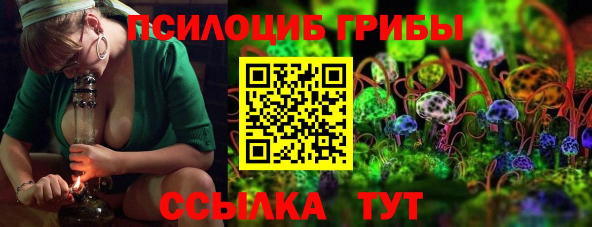 Псилоцибиновые грибы GOLDEN TEACHER  Вход с VPN  Троицк  цены наркотик  Галлюциногенные грибы Cubensis 